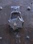 Architectural Details - Brass Spider Door Knob by David Churchill Limited Edition Print