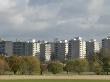 Alton Estate, Roehampton, Wandsworth, England, 1952-9, Architect: Lcc Architects by G Jackson Limited Edition Print