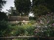 Hardy's Cottage, Wessex by Joe Cornish Limited Edition Print