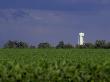 Soybean Field And Water Tower, Illinois by Marcus Bleyl Limited Edition Print