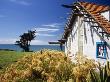 Ahu Ahu Eco Beach Villa, Oakura,Taranaki Eco Award Winning House by Nadia Mackenzie Limited Edition Print