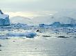 Whale, Neko Harbor, Antarctica by Natalie Tepper Limited Edition Pricing Art Print