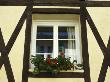 Window Of A Traditional Timber Framed House, Saint Martin, Il De Re, France by Olwen Croft Limited Edition Print