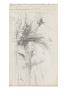 Carnet De Dessins : Paysage Avec Heron Et Maison by Gustave Moreau Limited Edition Print