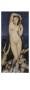 Venus Anadyomene by Jean-Auguste-Dominique Ingres Limited Edition Pricing Art Print
