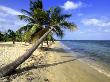 Beach Scene, Placencia, Belize by Michael Defreitas Limited Edition Print