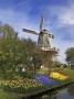 Keukenhof Gardens In Spring, Lisse, Holland by Jim Engelbrecht Limited Edition Print