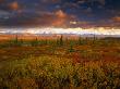 Mt. Mckinley And The Alaska Range, Denali National Park, Alaska, Usa by Jon Cornforth Limited Edition Print