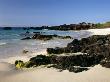 Waves Crashing Against Beach, Kua Bay, Big Island, Hawaii, Usa by Jon Cornforth Limited Edition Print