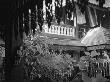 Rain On Steve's Roof, Thailand by Eloise Patrick Limited Edition Pricing Art Print