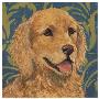 Golden Retriever by K. Tomlin Limited Edition Print