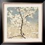 Cherry Blossoms I by John Seba Limited Edition Pricing Art Print