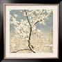 Cherry Blossoms I by John Seba Limited Edition Print