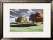 Grove Of Color by Evelyn Hammond Limited Edition Print