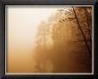 Fog On Shelly Lake I by Alan Hausenflock Limited Edition Print