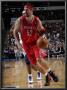 Houston Rockets V Dallas Mavericks: Brad Miller And Brendan Haywood by Glenn James Limited Edition Print