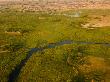 Aerial View Of A Duba Plains Marsh With A Canal Running Through It by Beverly Joubert Limited Edition Print