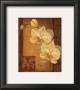Golden Orchid Ii by Debbie Cole Limited Edition Pricing Art Print