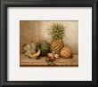 Pineapple And Orchid by Pamela Gladding Limited Edition Print