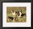 Basset Hounds by Vero Shaw Limited Edition Pricing Art Print