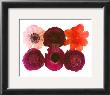 Colour Cluster I by Katja Marzahn Limited Edition Pricing Art Print