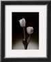 Tulips by Elizabeth King Brownd Limited Edition Print