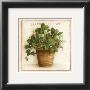 Fraise Des Bois by Vincent Jeannerot Limited Edition Print