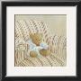 Bear On Striped Chair by Catherine Becquer Limited Edition Print