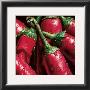 Hot Peppers by Alma'ch Limited Edition Pricing Art Print