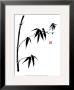 Bamboo Ii by Jenny Tsang Limited Edition Print