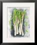 Asperges by Elizabeth Espin Limited Edition Pricing Art Print