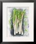 Asperges by Elizabeth Espin Limited Edition Print