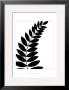 Leaf Silhouette I by Chariklia Zarris Limited Edition Pricing Art Print