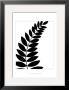 Leaf Silhouette I by Chariklia Zarris Limited Edition Print