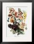 Bouquet Iv by Andrieux Vilmorin Limited Edition Print