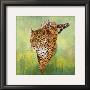 Kalina, Le Jaguar by Danielle Beck Limited Edition Pricing Art Print