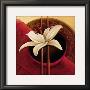Brilliant Ambience by Gerard Beauvoir Limited Edition Pricing Art Print