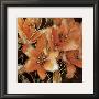 Apricot Dreams I by Lane Ashfield Limited Edition Print