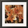 Apricot Dreams I by Lane Ashfield Limited Edition Print