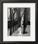 Parc De Saint-Cloud, C.1981 by Edouard Boubat Limited Edition Pricing Art Print