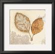 Natural Simplicity by James Wiens Limited Edition Print