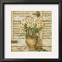 Potted Flowers I by Eric Barjot Limited Edition Print