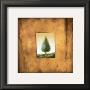 Green Tree by Scott Duce Limited Edition Print