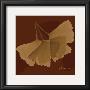 Color Me Ginko Brown Ii by Albert Koetsier Limited Edition Pricing Art Print