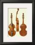 Antique Violas Ii by William Gibb Limited Edition Print
