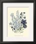 Loudon Florals Iv by Jane Loudon Limited Edition Print