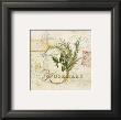 Tuscan Herbs by Angela Staehling Limited Edition Pricing Art Print