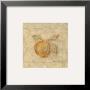 Pastel Peach by Valerie Wenk Limited Edition Print