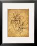 Pencil Sketch Floral Iii by Justin Coopersmith Limited Edition Print