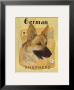 German Shepard by Claire Pavlik Purgus Limited Edition Print